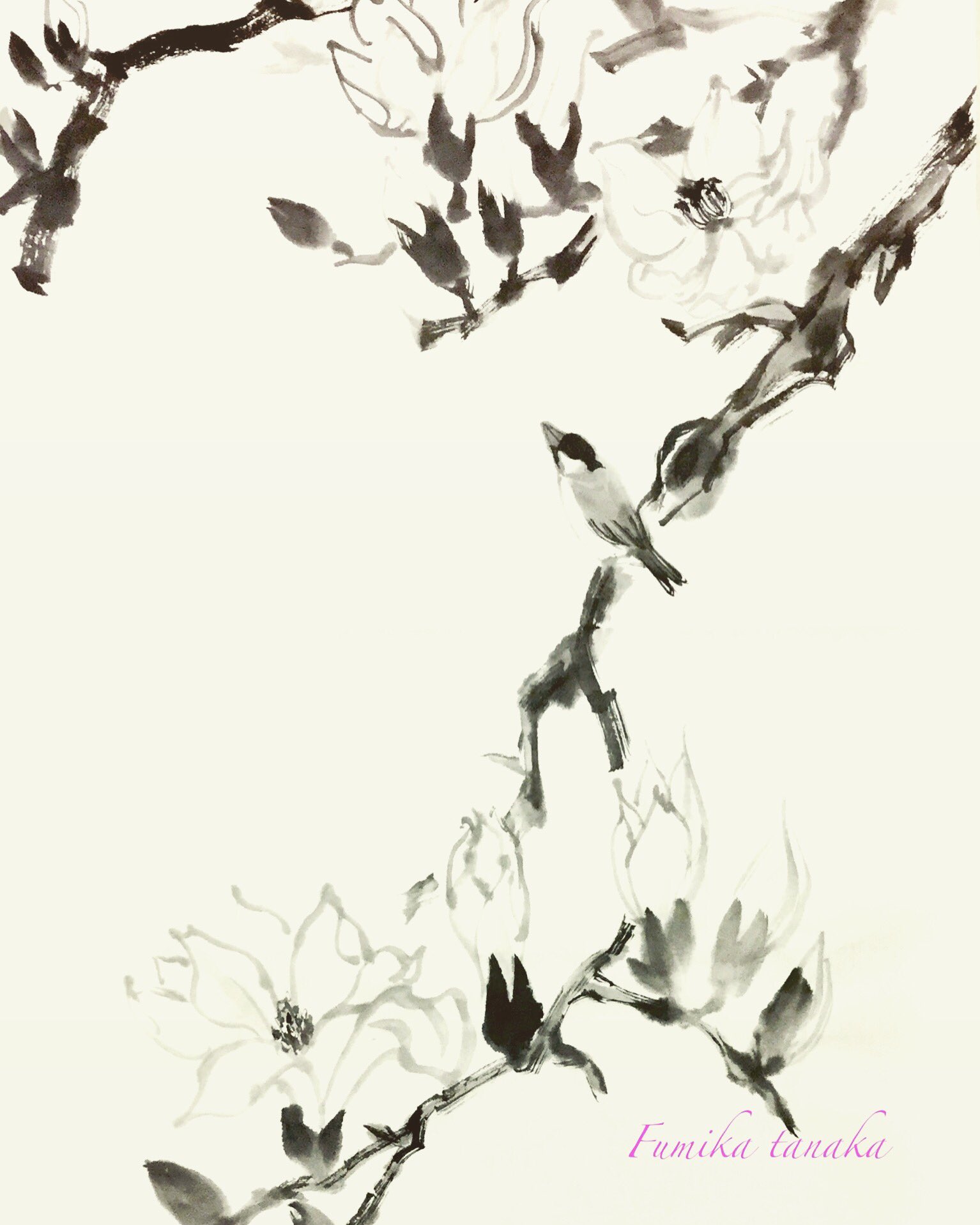 3/13(火)水墨画教室 薬草labo.棘 - 水墨画あめつち 田中芙弥佳 3/13(火)水墨画教室 薬草labo.棘 - 水墨画あめつち 田中芙弥佳